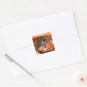Cutey Llama Boerderij Animal Personalized Vierkante Sticker (Envelop)