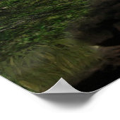 Cutie Anime Kitten Waterfall Moon 3 Poster (Hoek)