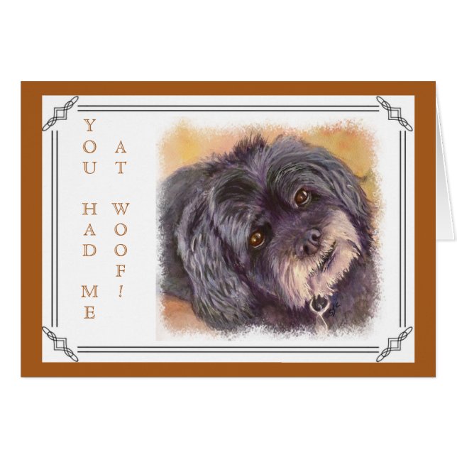 CUTIE BLACK COCK-A-POO MIX (Voorkant Horizontaal)