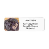 CUTIE BLACK COCK-A-POO MIX ETIKET (Voorkant)