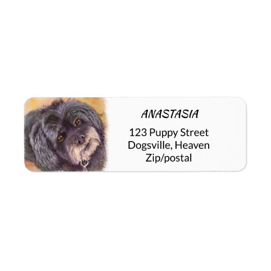 CUTIE BLACK COCK-A-POO MIX ETIKET (Voorkant)