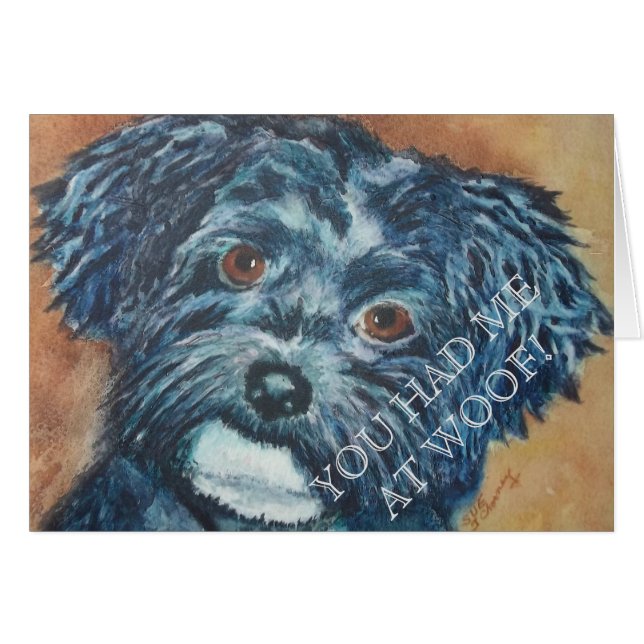 CUTIE BLACK HAVANESE (Voorkant Horizontaal)