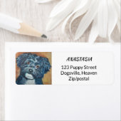 CUTIE BLACK HAVANESE ETIKET (Insitu)