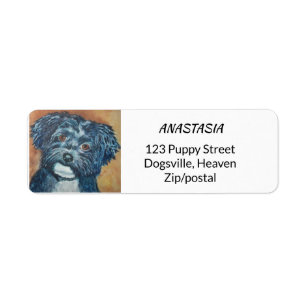 CUTIE BLACK HAVANESE ETIKET