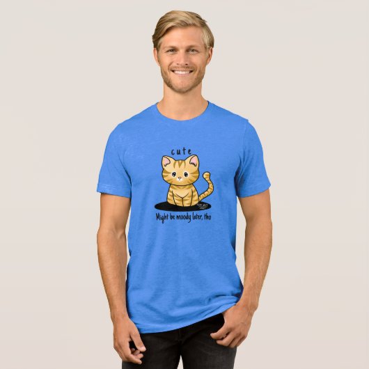 Cutie Cat Tabby Tri-Blend Shirt (Voorkant volledig)