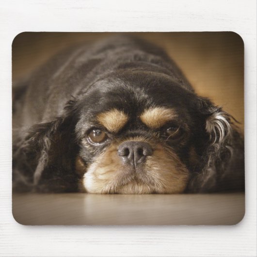 Cutie Cav. Muismat (Voorkant)