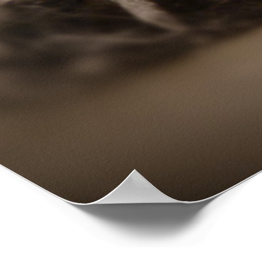 Cutie Cav. Poster (Hoek)