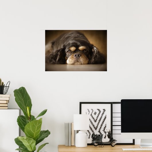 Cutie Cav. Poster (Thuiskantoor)