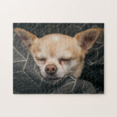 Cutie Chihuahua Legpuzzel (Horizontaal)