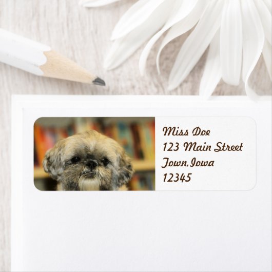 Cutie Etiket (Insitu)