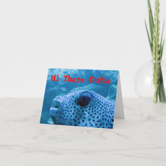 Cutie Fish Note Kaart (Voorkant)