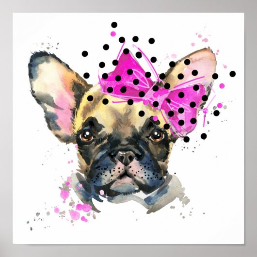 Cutie French Bull Dog Poster (Voorkant)