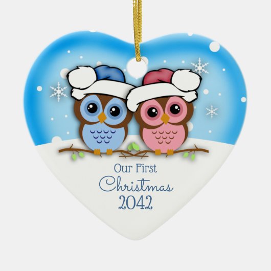 Cutie Owl Couple First Kerstmis Ornament (Voorkant)