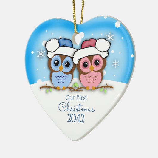 Cutie Owl Couple First Kerstmis Ornament (Links)