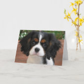 Cutie Pie Kaart (Gele Bloem)