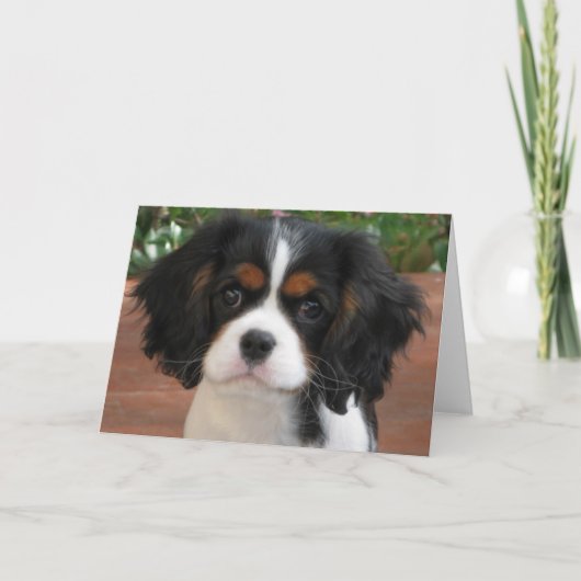 Cutie Pie Kaart (Voorkant)