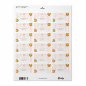 Cutie Pie Sinaasappel Gingham 1e verjaardag adres Etiket (Full Sheet)