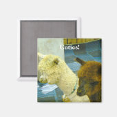 Cuties! Magneet (Voorkant / Achterkant)