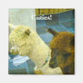 Cuties! Magneet (Voorkant)