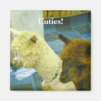 Cuties! Magneet
