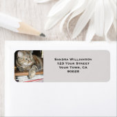 Cutkat Etiket (Insitu)