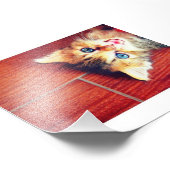 Cutkat Foto Afdruk (Hoek)