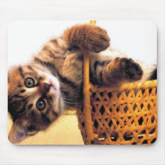 Cutkat Muismat (Voorkant)