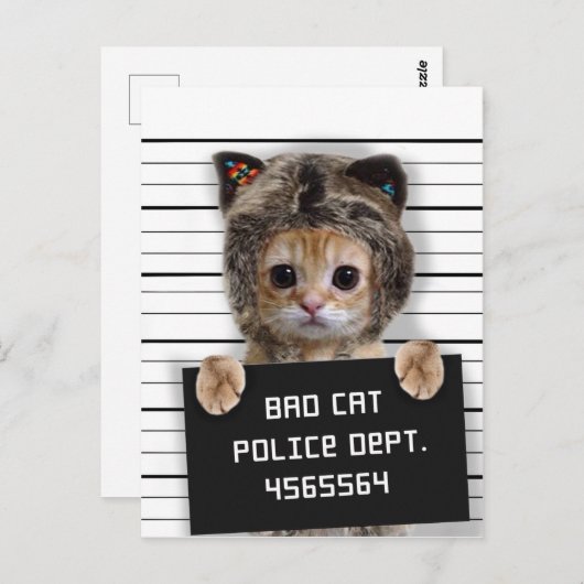 Cutkat stoute jongen briefkaart (Voorkant / Achterkant)