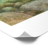 Cutkeel-forel-schilferend Poster (Hoek)