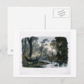 Cutoff River, tak van de as, bord 8 van V Briefkaart (Voorkant / Achterkant)