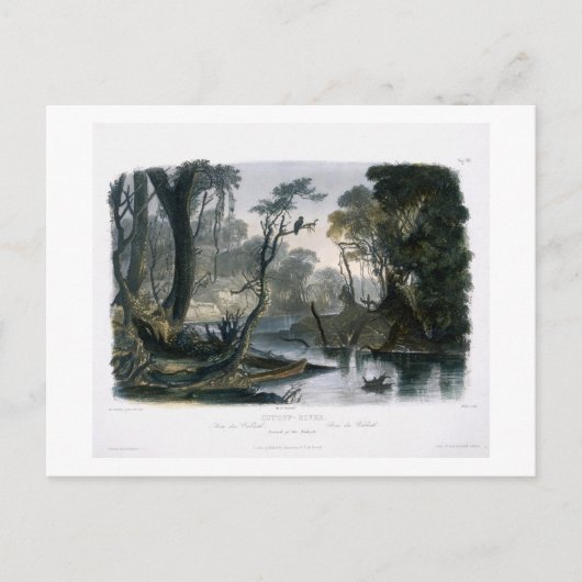 Cutoff River, tak van de as, bord 8 van V Briefkaart (Voorkant)