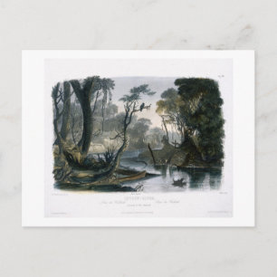 Cutoff River, tak van de as, bord 8 van V Briefkaart