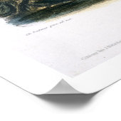 Cutoff River, tak van de as, bord 8 van V Poster (Hoek)