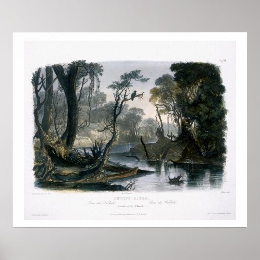Cutoff River, tak van de as, bord 8 van V Poster (Voorkant)