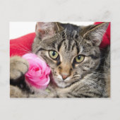 Cutomaten met Roos Briefkaart (Voorkant)