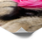 Cutomaten met Roos Poster (Hoek)