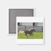 Cuttin 'los magneet (Voorkant / Achterkant)