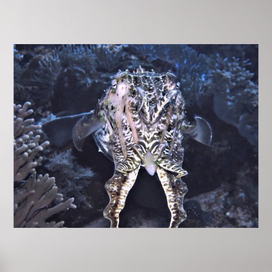 Cuttlefish Tentacles Poster (Voorkant)