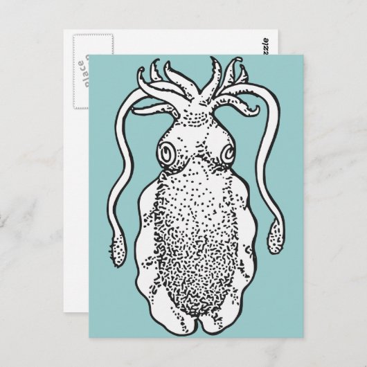 Cuttlevis Briefkaart (Voorkant / Achterkant)