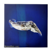 Cuttlevis Tegeltje (Voorkant)