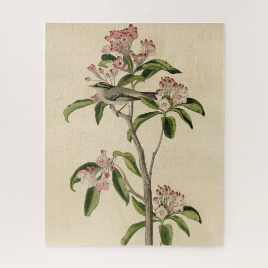 Cuvier's Kinglet (Cuvier's Regulus) Audubon Birds Legpuzzel (Verticaal)