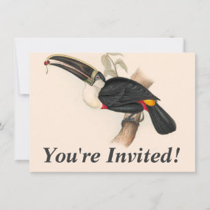Cuviers Toekan Print: Vintage Tropische Vogel Kaart