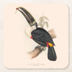 Cuvier's Toekan Print: Vintage Tropische Vogel Kartonnen Onderzetters