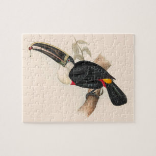 Cuvier's Toekan Print: Vintage Tropische Vogel Legpuzzel