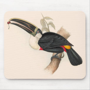 Cuvier's Toekan Print: Vintage Tropische Vogel Muismat