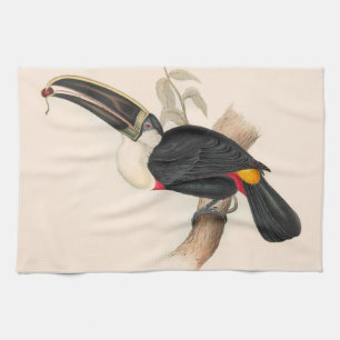 Cuvier's Toekan Print: Vintage Tropische Vogel Theedoek