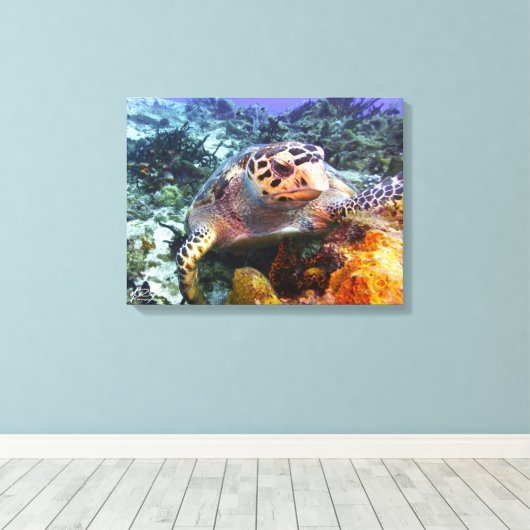 Cuzumel schildpad #4 canvas afdruk (Insitu (Houten vloer))