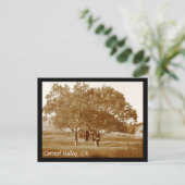 CV zomerschuur Briefkaart (Staand voorkant)