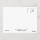 CV zomerschuur Briefkaart (Achterkant)