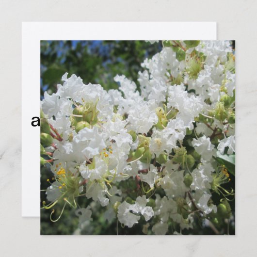 Cverkratle Myrtle Close Kaart (Voorkant / Achterkant)